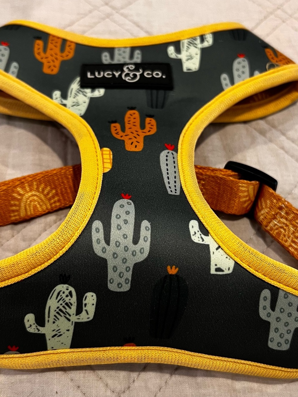 Lucy & Co Reversible Dog Harness Cactus & Sunshine Med